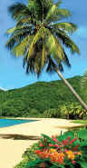 "Tropical Landscape" Beach Towel