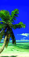 "Palm Tree" Beach Towel