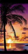 "Palm Silhouette" Beach Towel