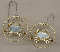 Guernsey penny Crab