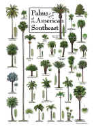 Palms of the American Southeast Puzzle
