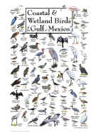 Birds of the Gulf Puzzle